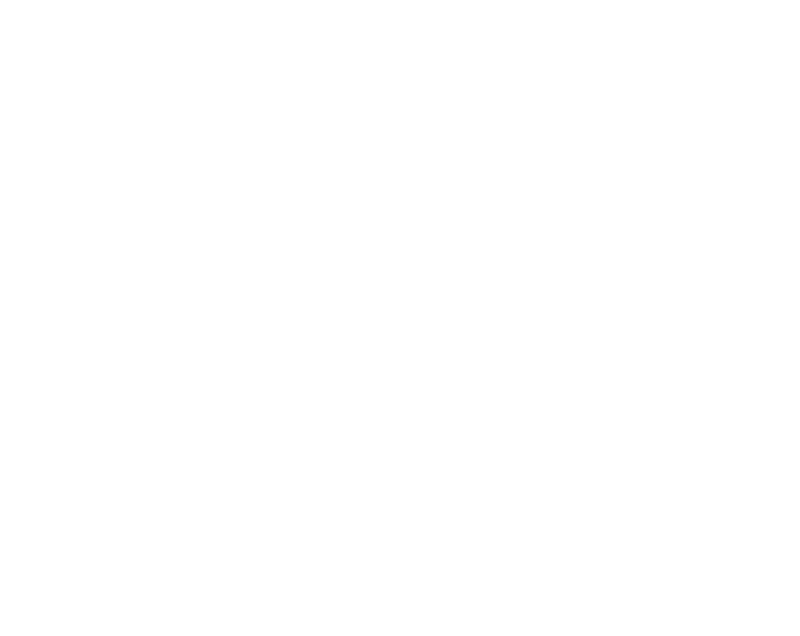 Sunshine Hootenanny Festival